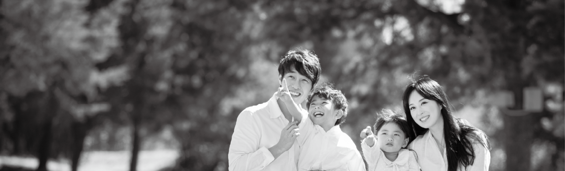 about-banner