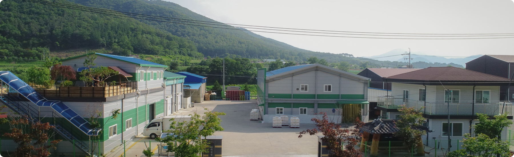 section-1-bg-box